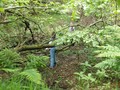 DSCF7223.JPG