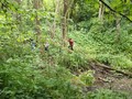 DSCF7214.JPG