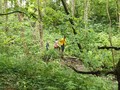 DSCF7213.JPG