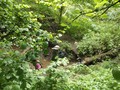 DSCF7212.JPG