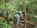 DSCF7209.JPG