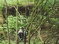 DSCF7207.JPG