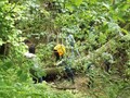 DSCF7204.JPG