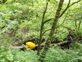 DSCF7202.JPG