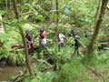 DSCF7192.JPG