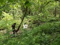 DSCF7186.JPG