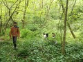 DSCF7181.JPG