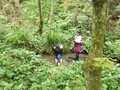 DSCF7180.JPG