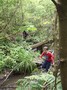 DSCF7176.JPG
