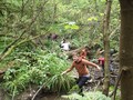 DSCF7175.JPG