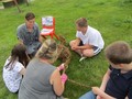 IMG_9912.JPG