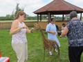 IMG_9919.JPG