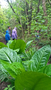 WP_20170512_11_24_31_Pro_LI.jpg