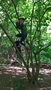 WP_20170526_11_27_23_Rich_LI.jpg