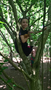 WP_20170526_11_17_30_Pro_LI.jpg