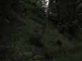 IMG_0935.JPG