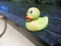 DSCF5350.JPG