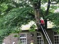 IMG_1072.JPG