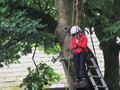 IMG_1073.JPG