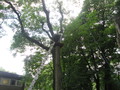 IMG_1090.JPG