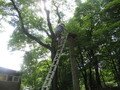 IMG_1095.JPG