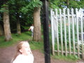DSCF5445.JPG
