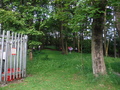 DSCF5446.JPG