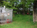 DSCF5447.JPG