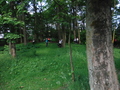 DSCF5450.JPG