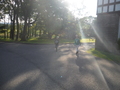 DSCF5469.JPG