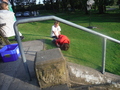 DSCF5484.JPG
