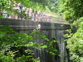 IMG_1157.JPG
