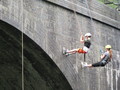 IMG_1174.JPG