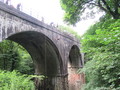 IMG_1179.JPG