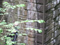 IMG_1182.JPG