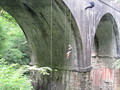 IMG_1233.JPG