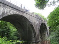 IMG_1250.JPG