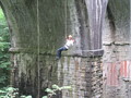 IMG_1263.JPG