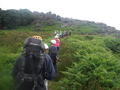 DSCF5486.JPG