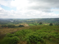 DSCF5489.JPG