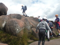 DSCF5552.JPG