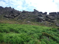 DSCF5586.JPG