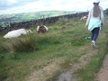DSCF5588.JPG