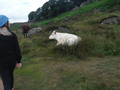 DSCF5589.JPG