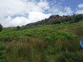 DSCF5590.JPG