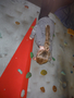 DSCF5620.JPG