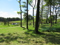 IMG_1273.JPG