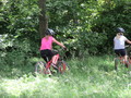IMG_1334.JPG
