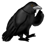 Reflective Raven pic.png