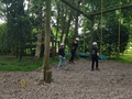 20170627_092144.jpg